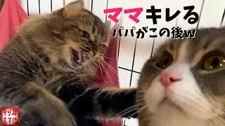 妻がブチギレている時に夫がとるべき行動がこちらｗ