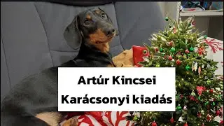 Artúr Kincsei karácsonyi kiadás 🤣🎄🙊🐶 #merlinesarturkalandjai 