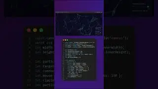 How to make Interactive Particle Network Using HTML CSS & JavaScript
