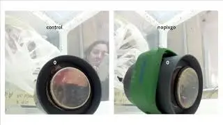 Nopixgo&reg; M&uuml;ckenschutzband im Labortest