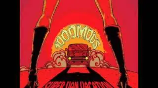 1000Mods-7 flies