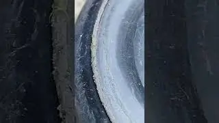 Green Spider VS Black Spider 🕷🕷🕷 #animals #spider #funnyanimals #funnymonster #magicanimals