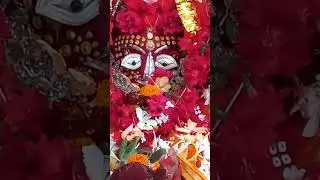 maa buli Jia dake nahi//Das and Das Vlog//#trending #viralsong #expoter #viralshort #short #shorts