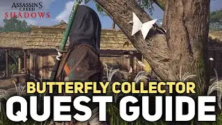 The Butterfly Collector Quest Guide - All Investigations - Assassin's Creed Shadows