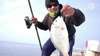 friday fishing adventure/catching bream fish/using bait & wait/shrimp bait