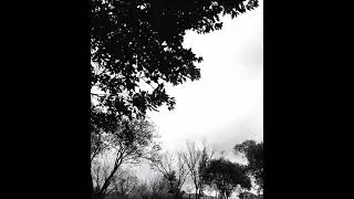 Shadows Entwined #dark #romantic #music #pop #experimental #slow #shadows