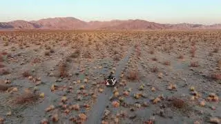 Sheephole Valley Wilderness