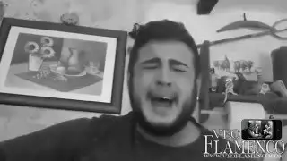 El Gambimbas - yo no soy de piedra