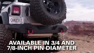 D-RING SHACKLES