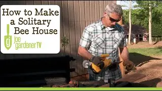 How to Make a Solitary Bee House
