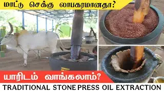 மாட்டுசெக்கில் எண்ணெய் தொழில் லாபகரமானதா? | Bull driven Stone wood press oil machine