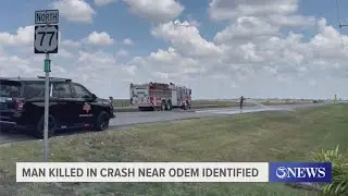 Man killed in crash near Odem identified