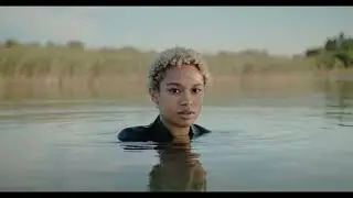 Cinematic Swamp Land