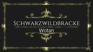 Schwarzwildbracke Wotan