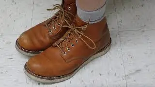 Red Wing 9871 Gold Russet Sequoia Leather 6 Inch Round Toe Boot