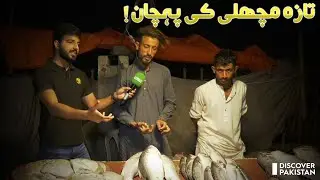 Easy Way to Pick the Fresh Fish | Discover Pakistan TV