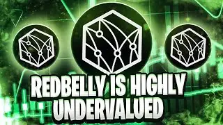 Is REDBELLY The Most Undervalued Altcoin?