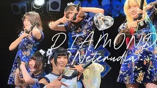 2025.11.16 ネテルダイヤ DIAMOND あえら生誕祭🐼💙〜あえらが1番我愛你♡～