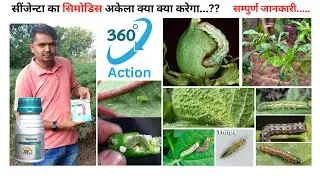 Syngenta ka Simodis kya kya control karega | Simodis Syngenta new product #aasankheti #thrips #new