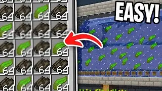 Easiest 1.21 Kelp Farm | XP, FOOD, FUEL | (JAVA + BEDROCK)