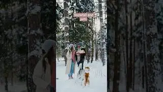 Nature and pets Holiday special #pets #shortsfeed #shortsfacts #viralshorts #short#trending#trend