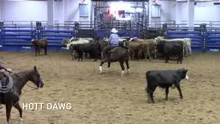 8-10-25  Bell County CHA - Belton, TX - Jo Howard Williamson - HOTT DAWG - Non Pro - 75