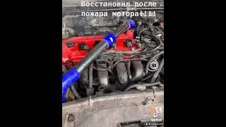 Mazda 6 MPs. Greyhound