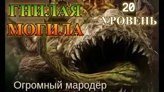 Dragonheir: Silent Gods - Гнилая могила 20 уровень🔥Дикость🔥