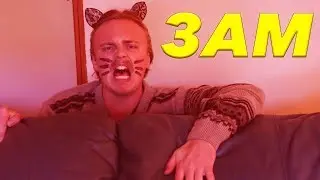 Каждый кот в 3 часа ночи