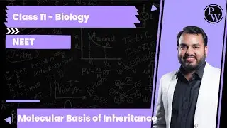 AUG initiation codon occurs over: (a) 3' end of mRNA P (b) \( 5^{\p...