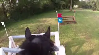 Le Lion d'Angers - Cross Amateur élite - Mai 2023