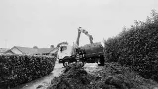 Rear Excavation Soil Removal Sydney | Grab Truck Landscaping Waste Solution