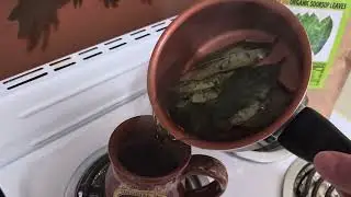 Enjoying a hot cup of Soursop Tea