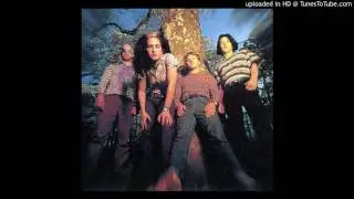 Dambuilders - drive by kiss