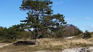 Falsterbo Photo Art Museum in Sk&aring;ne, Sweden