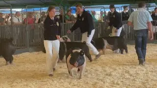 Placer County Fair celebrates 85 years