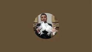 MEHMET BATMAZ kanalı canlı yayında