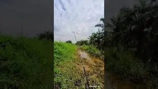 haruan hunter