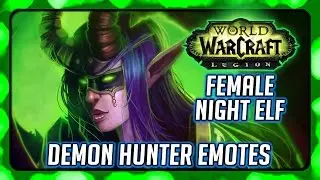 WOW Legion ► Demon Hunter Flirts, Jokes & Other Emotes (Female Night Elf - Beta)
