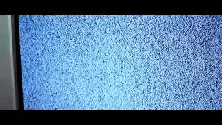 Day Shaw Voo - Puddle of Rain (Official Video)