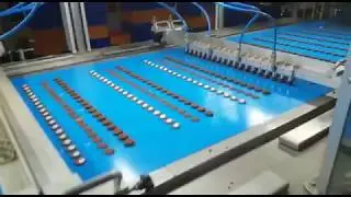 Linea Biscotti