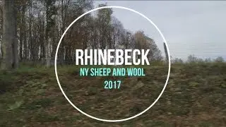 Strings & Moore: Rhinebeck 2017
