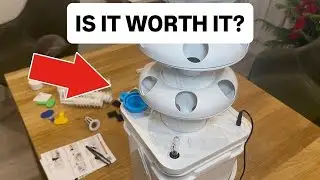 Honest Review Of This Plant Hydrophonic Growing System Kit!