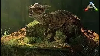 ARK DINO DOSSIER [Pachy]