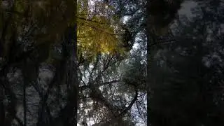Vake Park