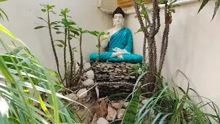 Buddha's Statue Collection in my Garden #shorts