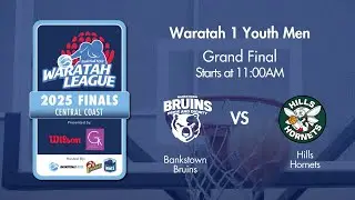 LIVE 🔴 - Bankstown Bruins v Hills Hornets - W1YM GF - 2025
