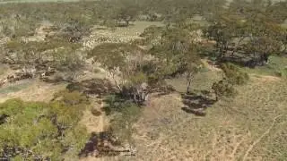Elders  Real Estate Stonefield - Brownlow