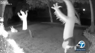 Thief steals blow-up Halloween decoration from San Marino home's front yard