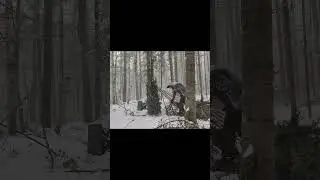 Clever  Survival Shelter in a Snow Storm by Joshua Gammon #bushcraft #survival #asmr #camping